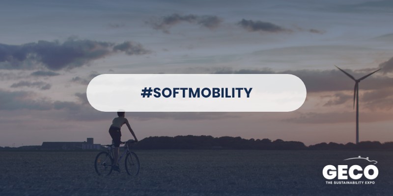 Bikeconomy and Slow mobility: sustainability's driving force